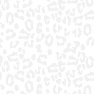 Meet your Posher, Everly